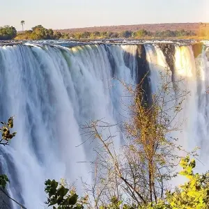 Explore Moremi Adventure for 14 days with Chamaeleon and discover unforgettable experiences - Photo 5
