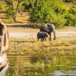 Explore Moremi Adventure for 14 days with Chamaeleon and discover unforgettable experiences - Photo 7