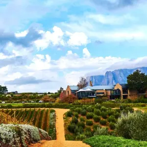 Explore Garden Route Experience for 14 days with Chamaeleon and discover unforgettable experiences - Photo 4