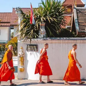 Explore Mekong - 16 days connoisseur trip for 16 days with Chamaeleon and discover unforgettable experiences - Photo 6