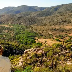 Explore Outeniqua Experience for 15 days with Chamaeleon and discover unforgettable experiences - Photo 5