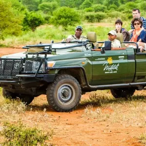 Explore Outeniqua Experience for 15 days with Chamaeleon and discover unforgettable experiences - Photo 11