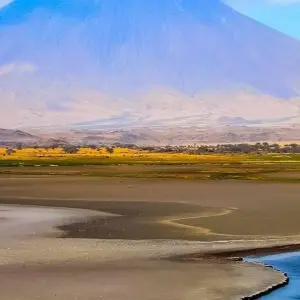Explore Mara River Adventure - 14 days for 14 days with Chamaeleon and discover unforgettable experiences - Photo 9