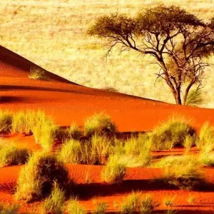 Explore Kalahari - 15 days Adventure for 15 days with Chamaeleon and discover unforgettable experiences - Photo 7