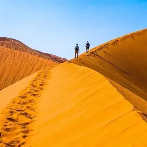 Explore Kalahari - 15 days Adventure for 15 days with Chamaeleon and discover unforgettable experiences - Photo 10