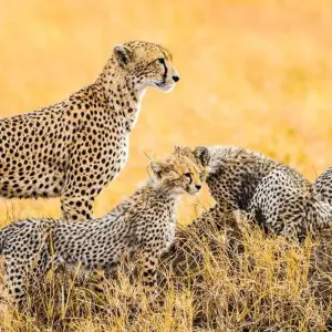 Explore Usambara Experience for 16 days with Chamaeleon and discover unforgettable experiences - Photo 3