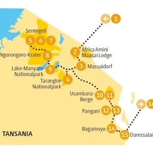 Explore Usambara Experience for 16 days with Chamaeleon and discover unforgettable experiences - Photo 4