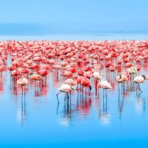 Explore Masai Mara Adventure for 15 days with Chamaeleon and discover unforgettable experiences - Photo 4