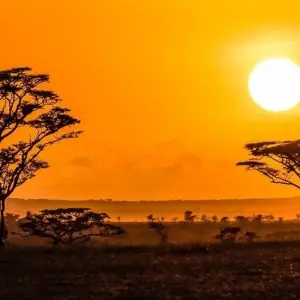 Explore Usambara Experience for 16 days with Chamaeleon and discover unforgettable experiences - Photo 7