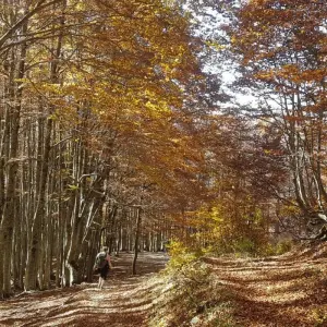 Explore Semi-Private Hiking Tour; Komani Lake & Valbona Valley in 3 Days for 3 days with Choose Balkans and discover unforgettable experiences - Photo 7