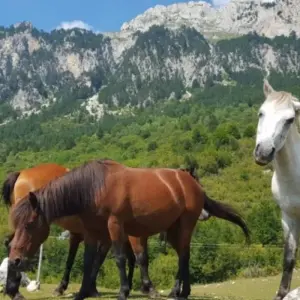 Explore Self-Guided Tour: Hiking of Komani Lake & Valbona Valley in 3 Days for 3 days with Choose Balkans and discover unforgettable experiences - Photo 6