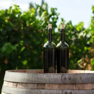 Explore Wine Tasting & Vineyards Escape near Tirana for 1 days with Choose Balkans and discover unforgettable experiences - Photo 2