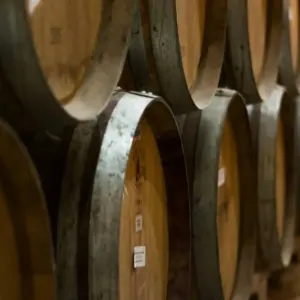 Explore Wine Tasting & Vineyards Escape near Tirana for 1 days with Choose Balkans and discover unforgettable experiences - Photo 3