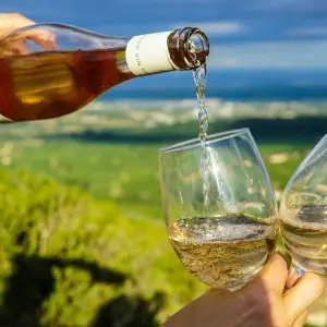 Explore Wine Tasting & Vineyards Escape near Tirana for 1 days with Choose Balkans and discover unforgettable experiences - Photo 5