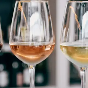 Explore Wine Tasting & Vineyards Escape near Tirana for 1 days with Choose Balkans and discover unforgettable experiences - Photo 7