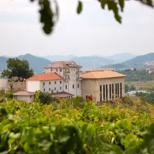 Explore Wine Tasting & Vineyards Escape near Tirana for 1 days with Choose Balkans and discover unforgettable experiences - Photo 8