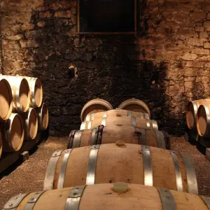 Explore Wine Tasting & Vineyards Escape near Tirana for 1 days with Choose Balkans and discover unforgettable experiences - Photo 9