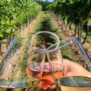 Explore Wine Tasting & Vineyards Escape near Tirana for 1 days with Choose Balkans and discover unforgettable experiences - Photo 10