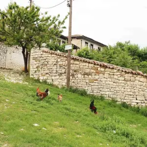 Explore From Tirana: Small Group Day Trip to Berat & Belsh Lake for 1 days with Choose Balkans and discover unforgettable experiences - Photo 7