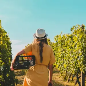 Explore Wine Tasting & Vineyards Escape near Tirana for 1 days with Choose Balkans and discover unforgettable experiences - Photo 11