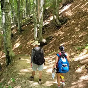 Explore Self-Guided Hiking Tour: Theth National Park, Valbona Valley & Koman Lake in 3 Days for 3 days with Choose Balkans and discover unforgettable experiences - Photo 9