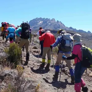 Explore Kilimanjaro Climbing Via Lemosho Route 10 Days (all accommodation and transport are included) for 10 days with Click Expeditions and discover unforgettable experiences - Photo 2