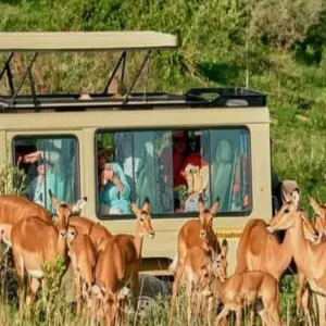Explore 15 Days Kenya & Tanzania Combo Safari for 15 days with Click Expeditions and discover unforgettable experiences - Photo 2