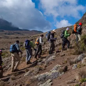 Explore Mount Kilimanjaro climbing via Marangu Route 8 days Tanzania (all accommodation and transport are included) for 8 days with Click Expeditions and discover unforgettable experiences - Photo 7