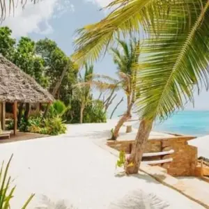 Explore Pemba Island - Beach Holidays for 6 days with Click Expeditions and discover unforgettable experiences - Photo 7