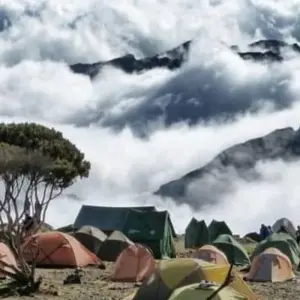 Explore Mount Kilimanjaro Climbing Via Machame Route 9 Days (all accommodation and transport are included) for 9 days with Click Expeditions and discover unforgettable experiences - Photo 11