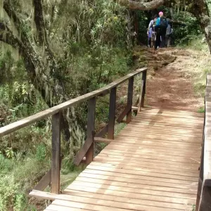 Explore 10 Days Mount Kilimanjaro Climb Northern Circuit Route ( all included Transport and Accommodations ) for 8 days with Click Expeditions and discover unforgettable experiences - Photo 3