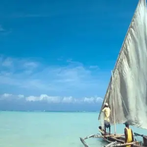 Explore 5  Days Zanzibar Beach for 5 days with Click Expeditions and discover unforgettable experiences - Photo 10