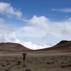 Explore 10 Days Mount Kilimanjaro Climb Northern Circuit Route ( all included Transport and Accommodations ) for 8 days with Click Expeditions and discover unforgettable experiences - Photo 5