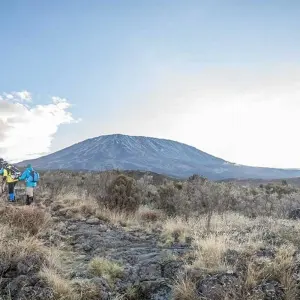 Explore 10 Days Mount Kilimanjaro Climb Northern Circuit Route ( all included Transport and Accommodations ) for 8 days with Click Expeditions and discover unforgettable experiences - Photo 6