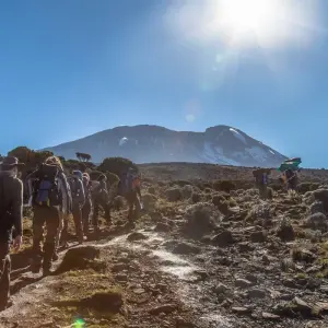 Explore 9 days Mount Kilimanjaro Climb Through Machame Route.(all Accommodation & Transport are included) for 9 days with Click Expeditions and discover unforgettable experiences - Photo 8