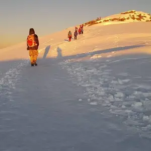 Explore 10 Days Mount Kilimanjaro Climb Northern Circuit Route ( all included Transport and Accommodations ) for 8 days with Click Expeditions and discover unforgettable experiences - Photo 8