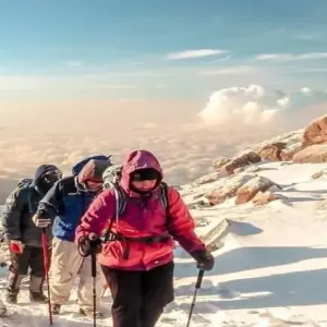 Explore 10 Days Mount Kilimanjaro Climb Northern Circuit Route ( all included Transport and Accommodations ) for 8 days with Click Expeditions and discover unforgettable experiences - Photo 11