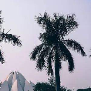 Explore 5 Days Golden Triangle Tour - Highly Recommended for 5 days with Colourful Indian Holidays and discover unforgettable experiences - Photo 5