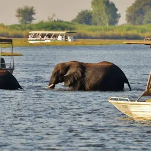 Explore Wilderness of Southern Africa: Safari by Land & Water  (Johannesburg to Victoria Falls) (2025) for 15 days with Collette and discover unforgettable experiences - Photo 2