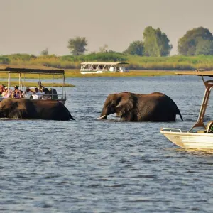 Explore Wilderness of Southern Africa: Safari by Land & Water  (Johannesburg to Victoria Falls) (2025) for 15 days with Collette and discover unforgettable experiences - Photo 4