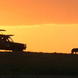 Explore Wilderness of Southern Africa: Safari by Land & Water  (Johannesburg to Victoria Falls) (2025) for 15 days with Collette and discover unforgettable experiences - Photo 9