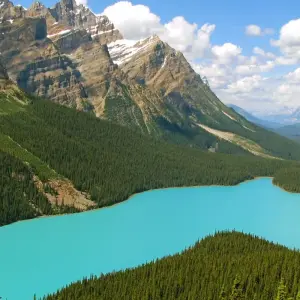 Explore Canadian Rockies & Glacier National Park for 7 days with Collette and discover unforgettable experiences - Photo 6