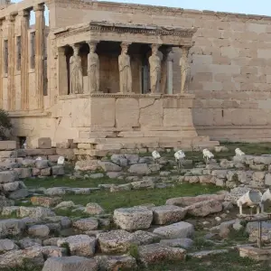 Explore Classical Greece  (2025) for 11 days with Collette and discover unforgettable experiences - Photo 9