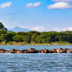 Explore The Plains of Africa Kenya Wildlife Safari (Nairobi to Amboseli) for 14 days with Collette and discover unforgettable experiences - Photo 2