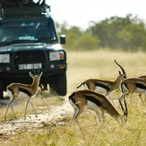 Explore The Plains of Africa Kenya Wildlife Safari (Nairobi to Amboseli) for 14 days with Collette and discover unforgettable experiences - Photo 5