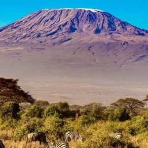 Explore The Plains of Africa Kenya Wildlife Safari (Nairobi to Amboseli) for 14 days with Collette and discover unforgettable experiences - Photo 7
