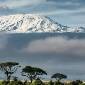 Explore The Plains of Africa Kenya Wildlife Safari (Nairobi to Amboseli) for 14 days with Collette and discover unforgettable experiences - Photo 8