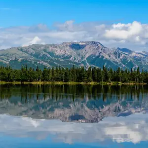 Explore Alaska: America's Last Frontier  (Fairbanks, AK to Anchorage, AK) for 9 days with Collette and discover unforgettable experiences - Photo 4