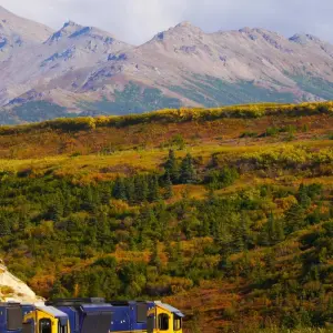 Explore Alaska: America's Last Frontier  (Fairbanks, AK to Anchorage, AK) for 9 days with Collette and discover unforgettable experiences - Photo 5