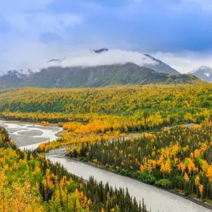 Explore Alaska: America's Last Frontier  (Fairbanks, AK to Anchorage, AK) for 9 days with Collette and discover unforgettable experiences - Photo 6